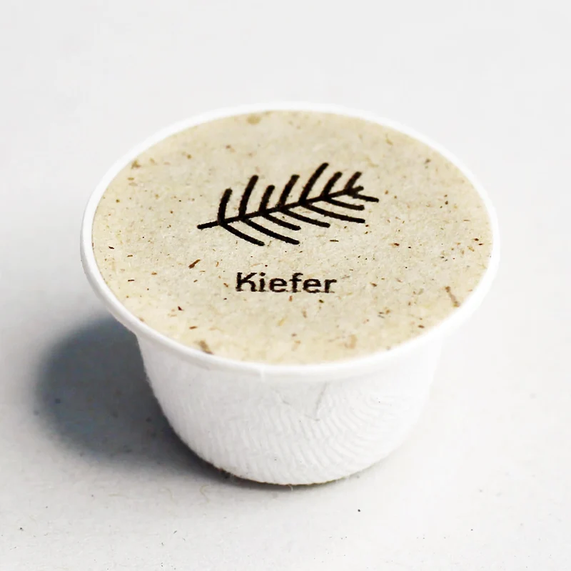 Kiefer Baum-Samen