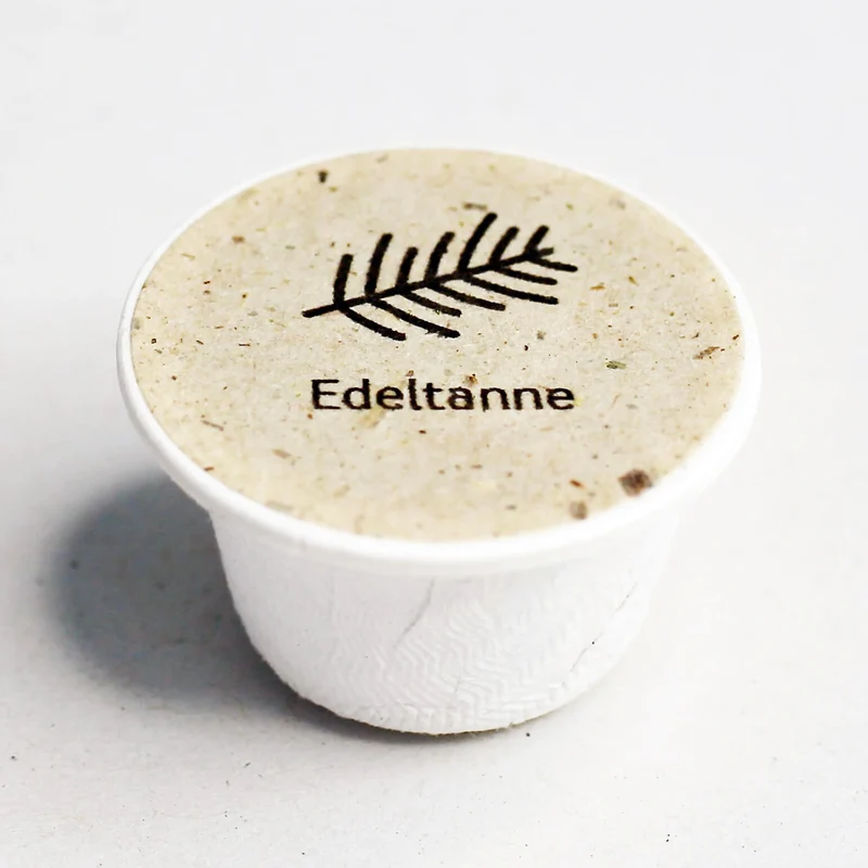 Edeltanne Baum-Samen