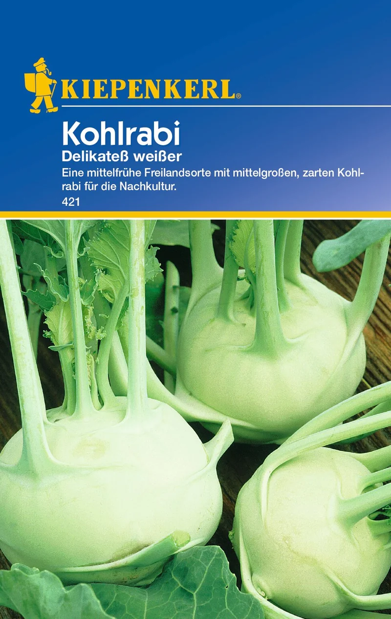 Kohlrabisamen Delikateß weißer