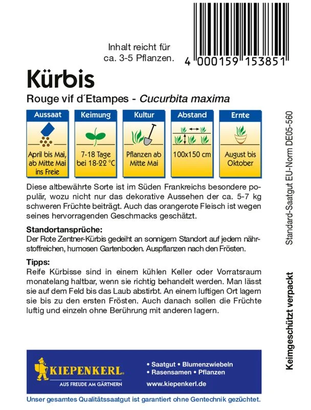 Kürbis Rouge vif d'Etampes