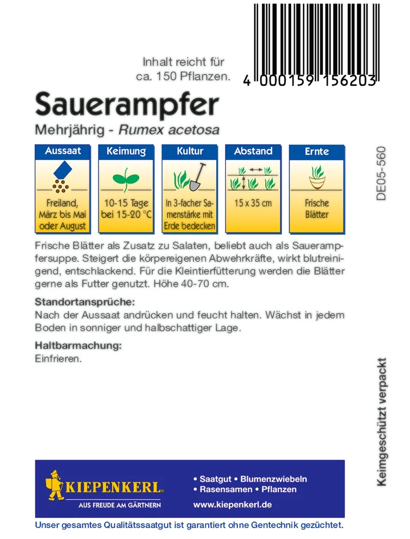 Sauerampfer, mehrjährig