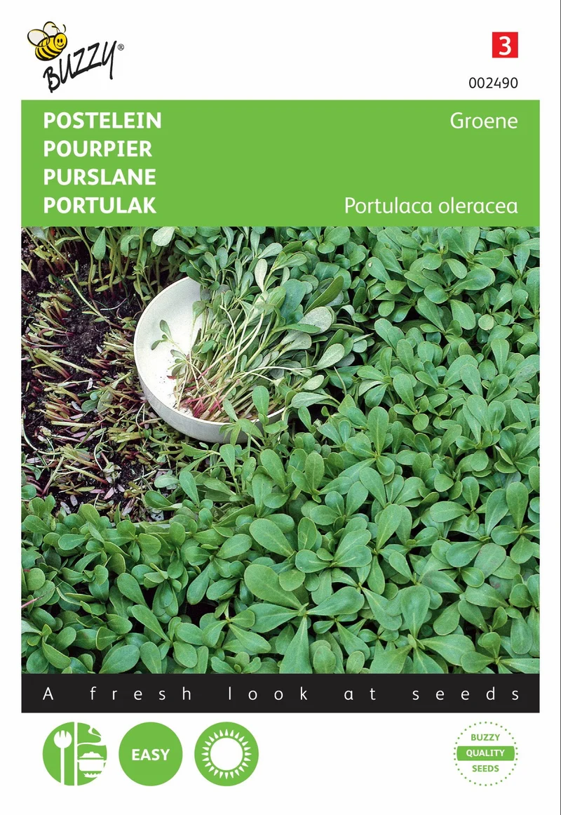 Grüner Portulak
