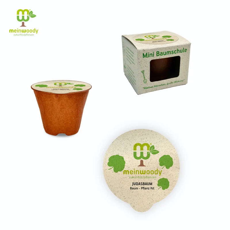 Judasbaum Baum-Pflanz-Set – Cercis siliquastrum selbst pflanzen
