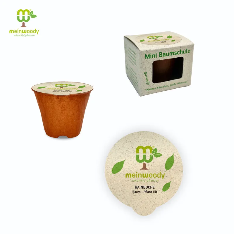Hainbuche Baum-Pflanz-Set – Carpinus betulus selbst pflanzen