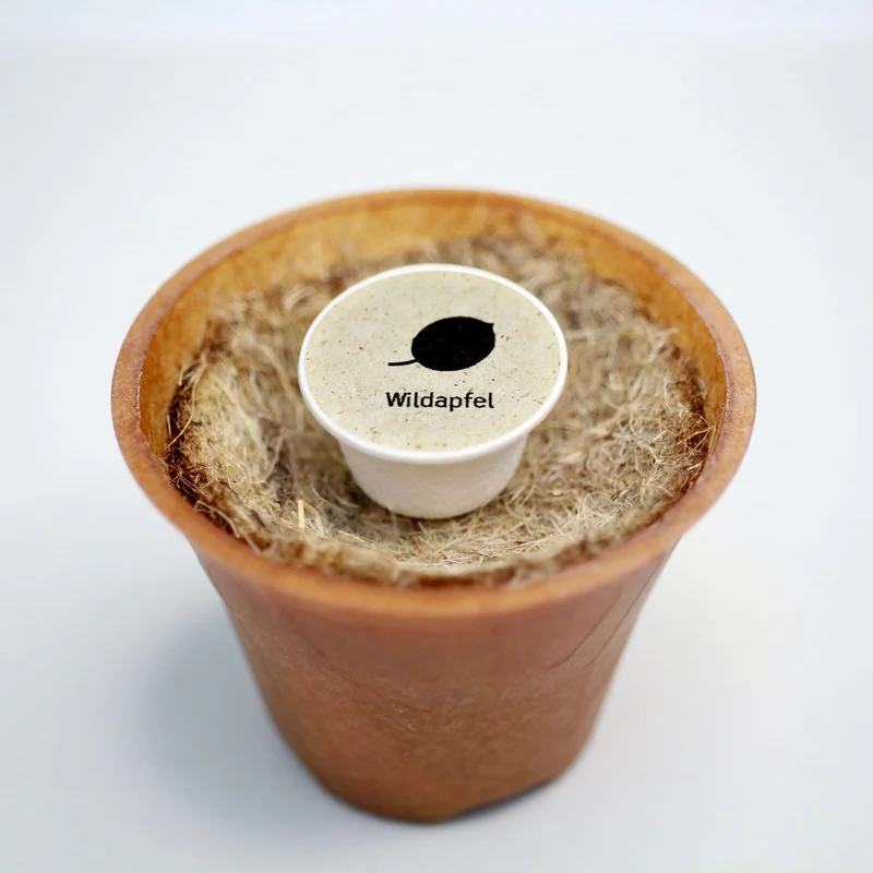 Wildapfel Baum-Pflanz-Set – Malus sylvestris selbst pflanzen