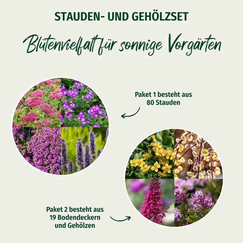 Paket 2 von 2 "Blütenvielfalt für sonnige Vorgärten"