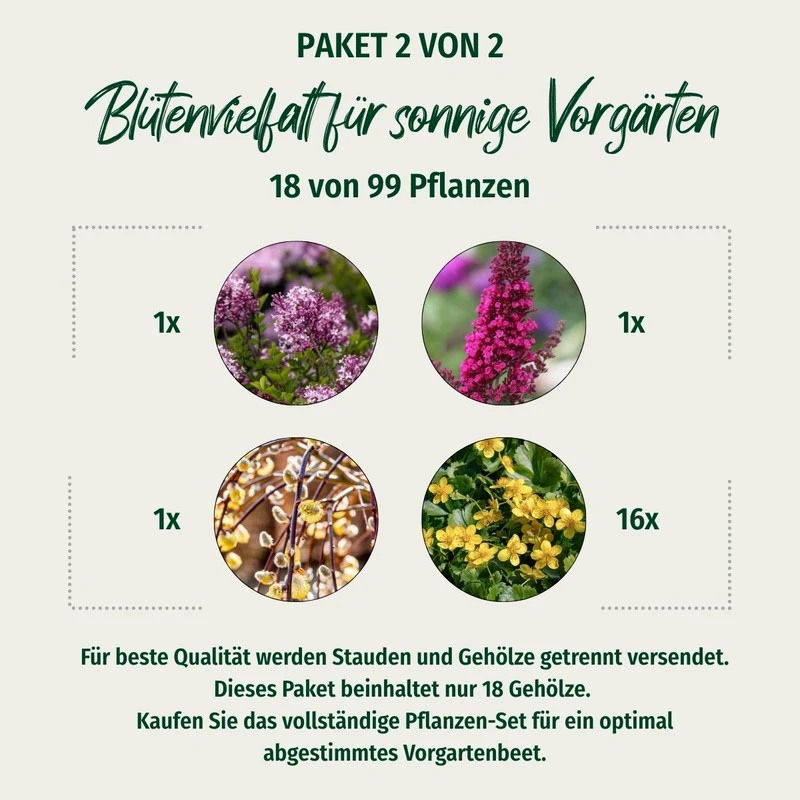Paket 2 von 2 "Blütenvielfalt für sonnige Vorgärten"