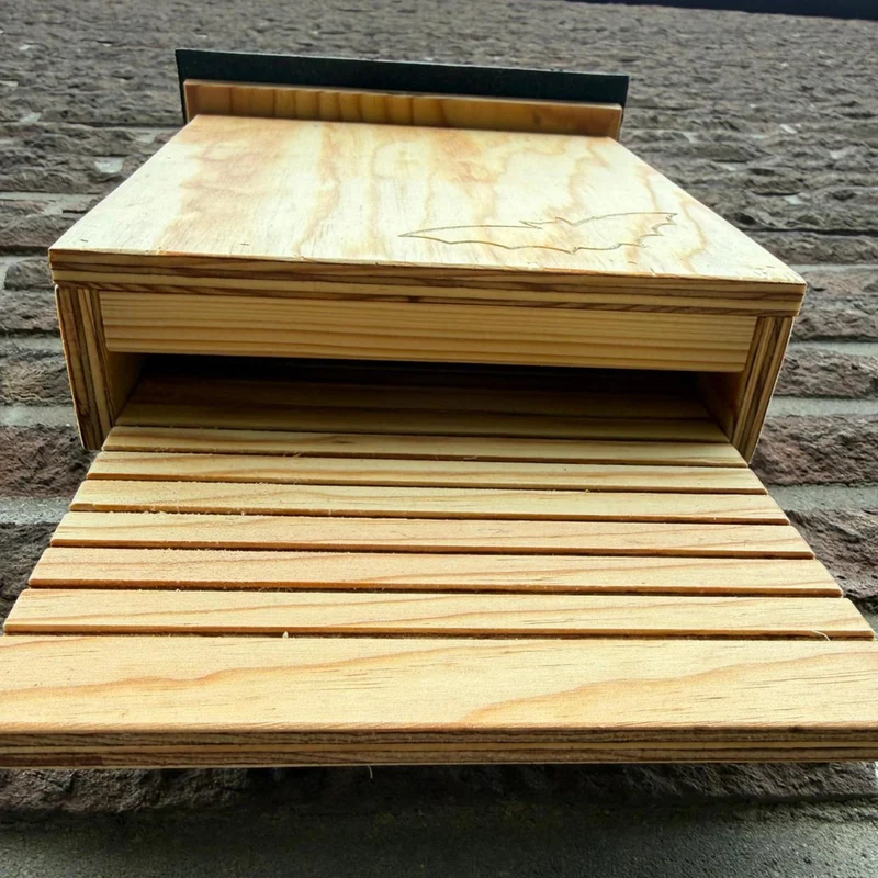 Fledermauskasten