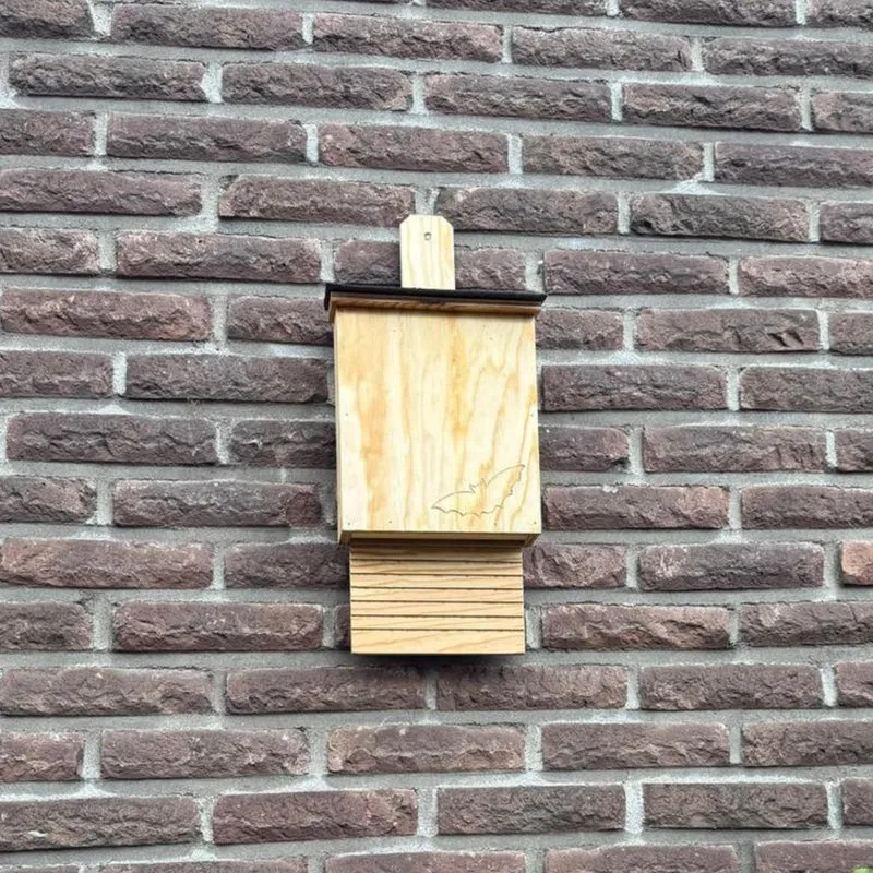 Fledermauskasten