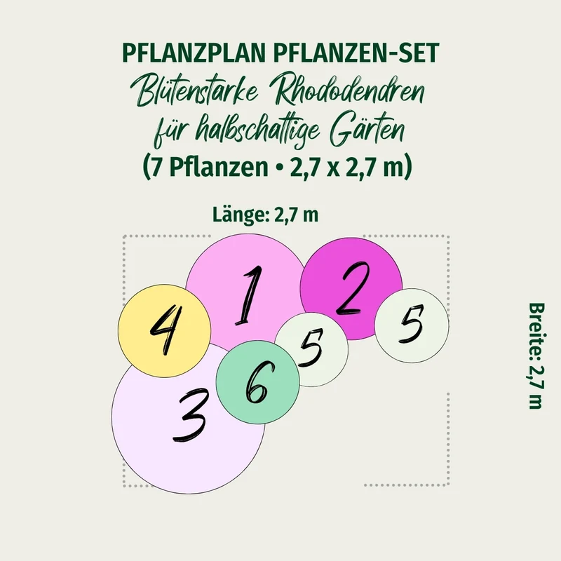 Rhododendronbeet "Blütenstarke Rhododendren für halbschattige Gärten"