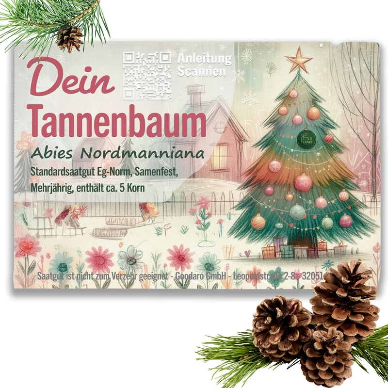 Nordmanntanne Samen