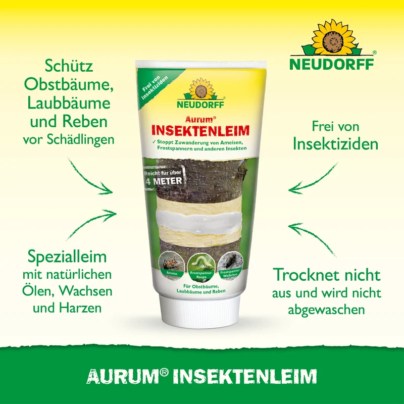 Aurum InsektenLeim
