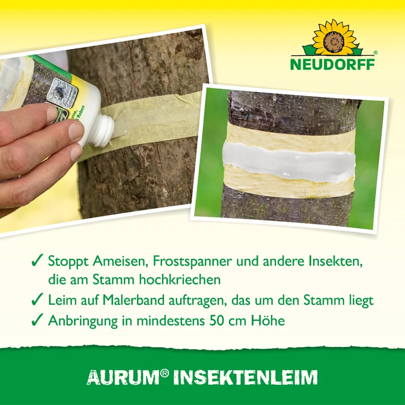 Aurum InsektenLeim