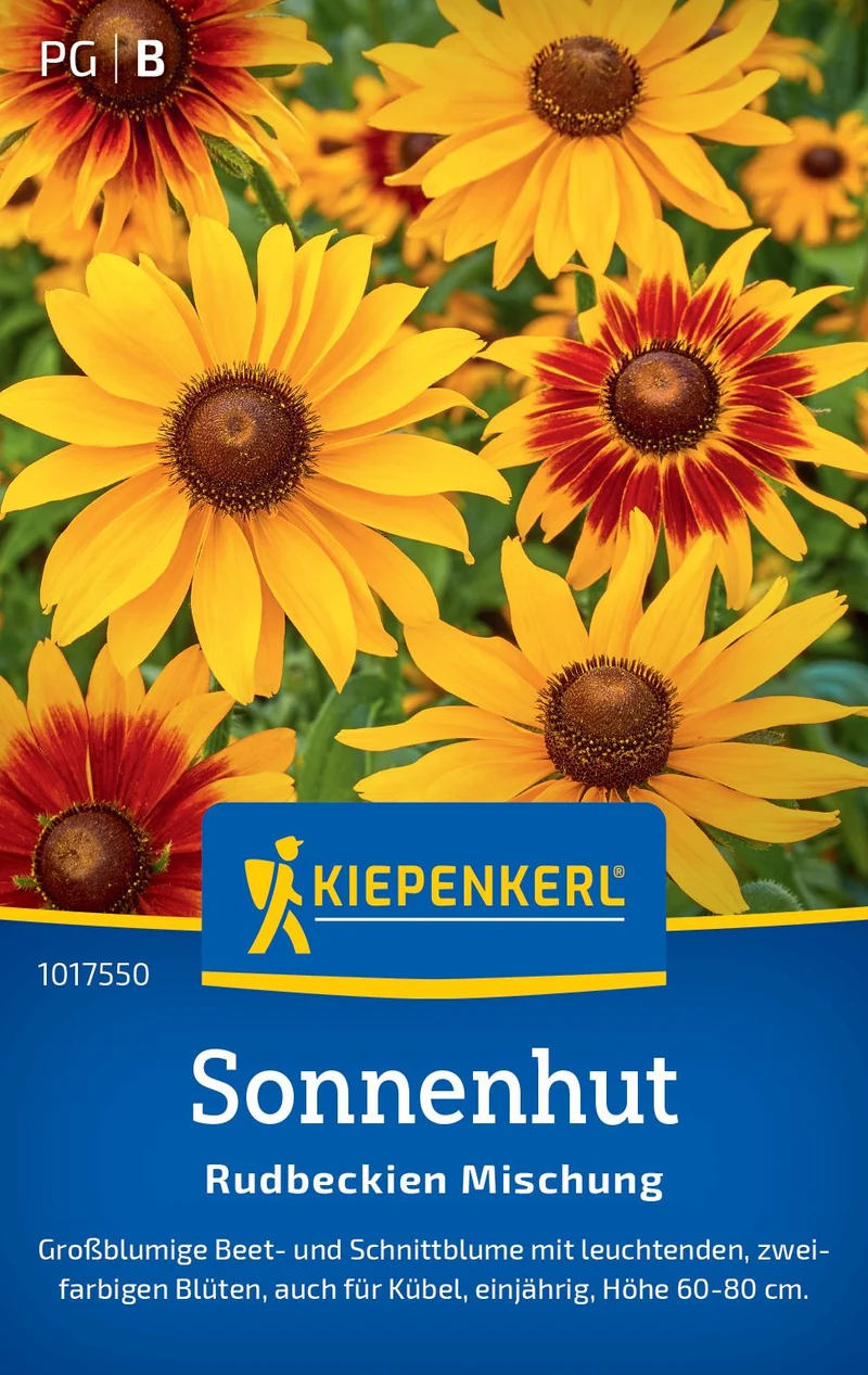Sonnenhutsamen Rudbeckien Mischung