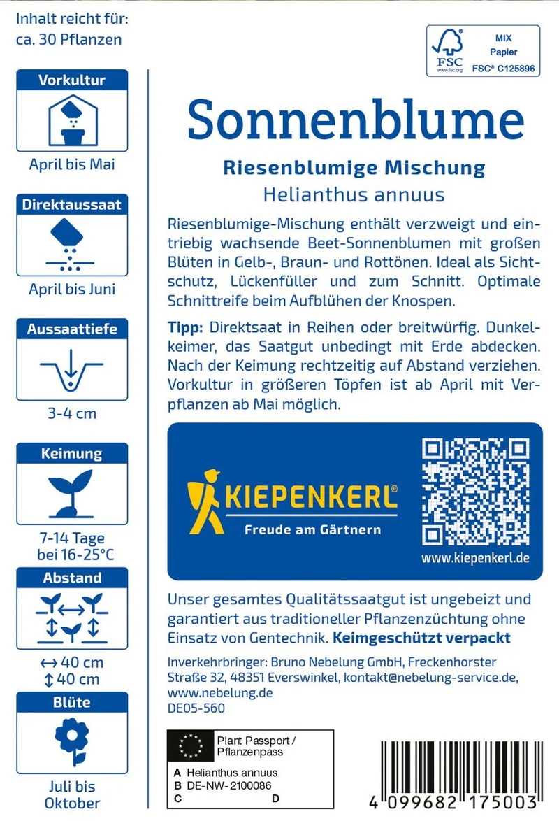Sonnenblumensamen Riesenblumige Mischung