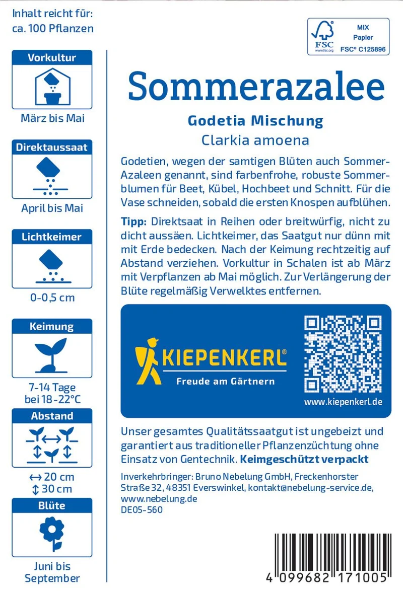 Sommerazaleesamen Godetia Mischung