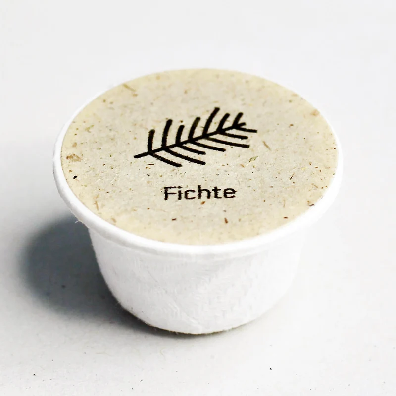 Fichte Baum-Samen
