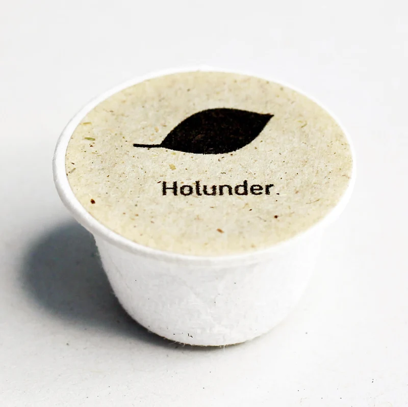 Holunder Baum-Samen