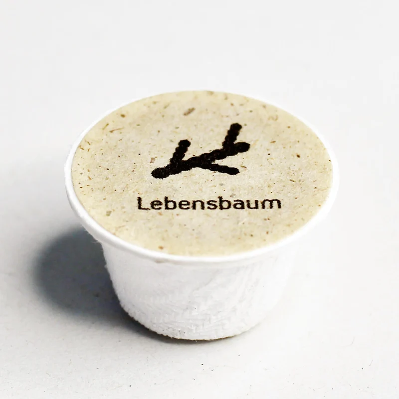 Lebensbaum Baum-Samen