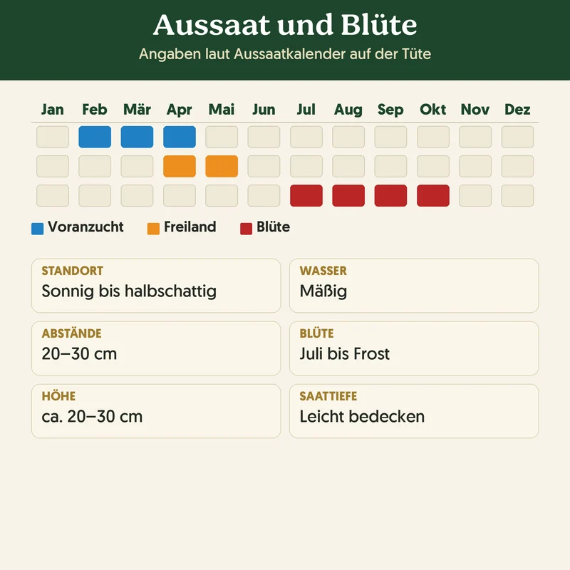 Bio-Studentenblume 'Niedrige Mischung' – Samenfestes Bio-Saatgut