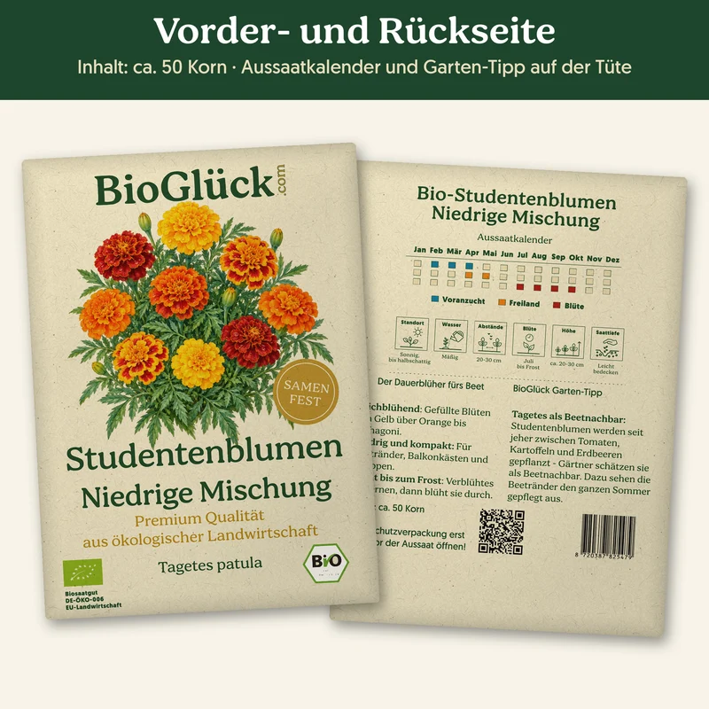 Bio-Studentenblume 'Niedrige Mischung' – Samenfestes Bio-Saatgut