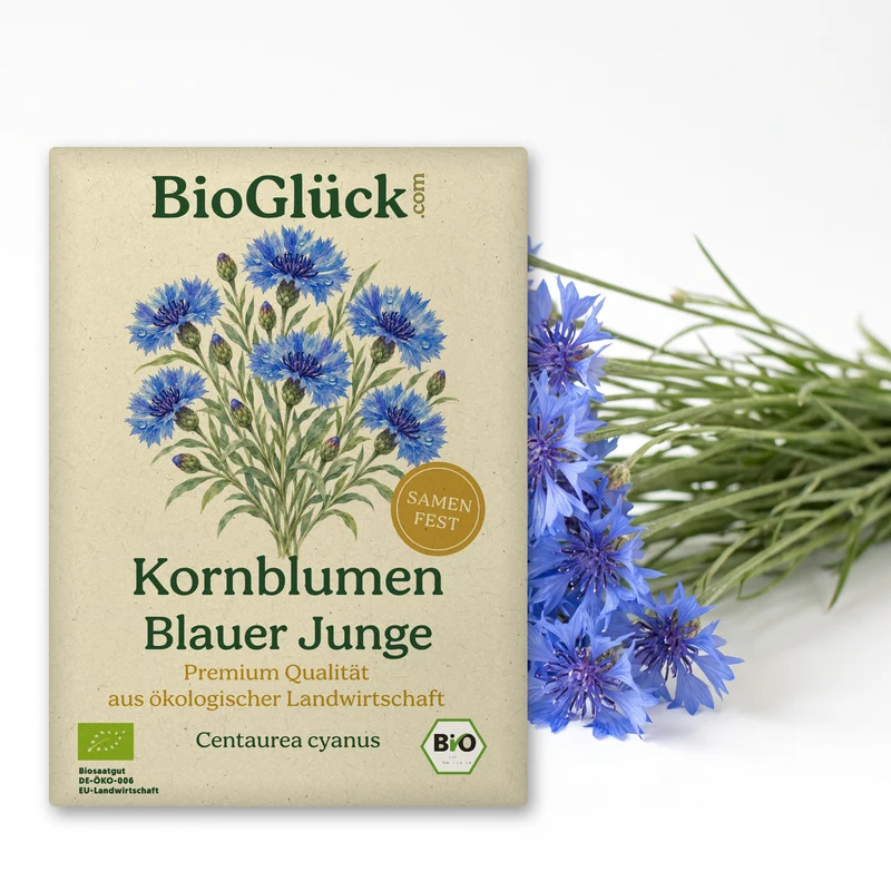 Bio-Kornblume 'Blauer Junge' – Samenfestes Bio-Saatgut