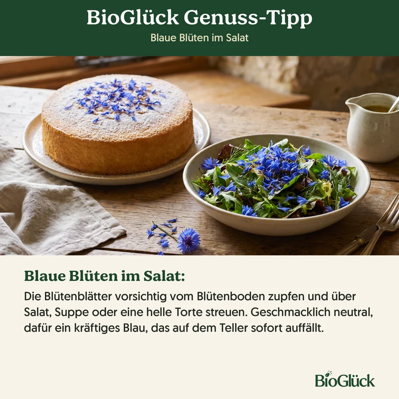 Bio-Kornblume 'Blauer Junge' – Samenfestes Bio-Saatgut