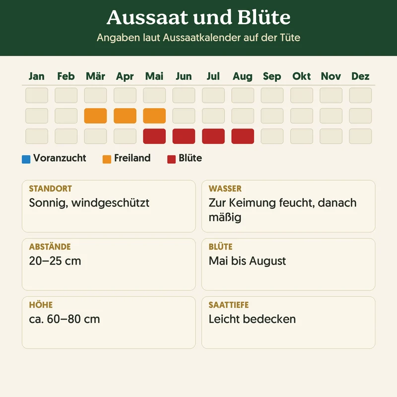 Bio-Kornblume 'Blauer Junge' – Samenfestes Bio-Saatgut