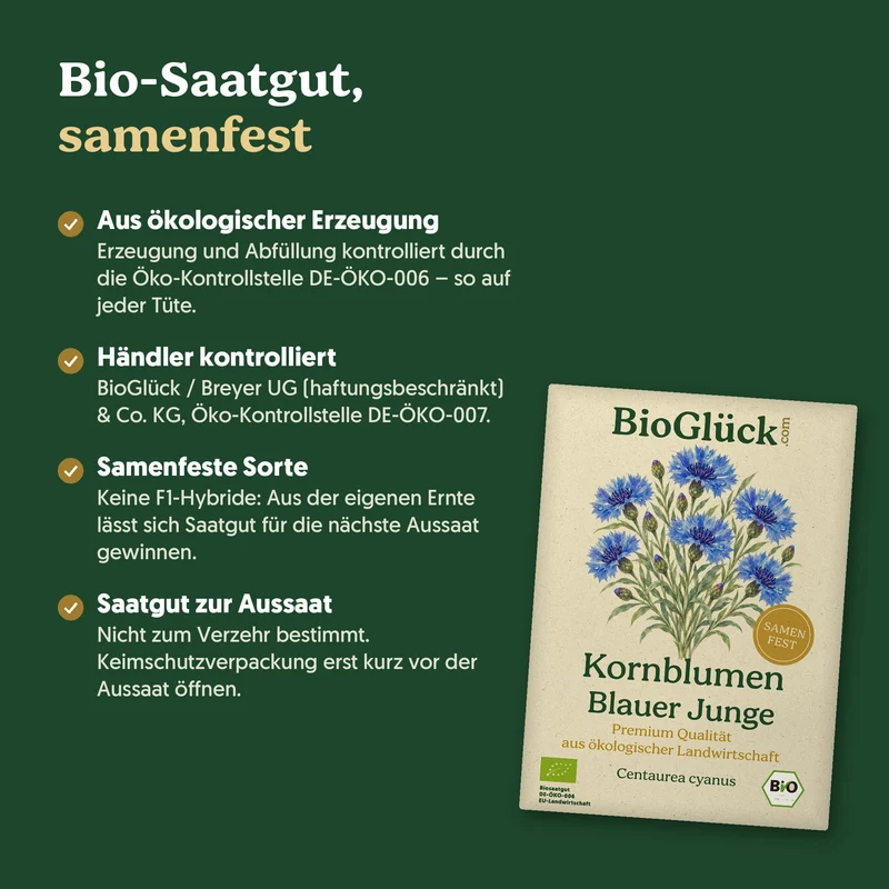 Bio-Kornblume 'Blauer Junge' – Samenfestes Bio-Saatgut