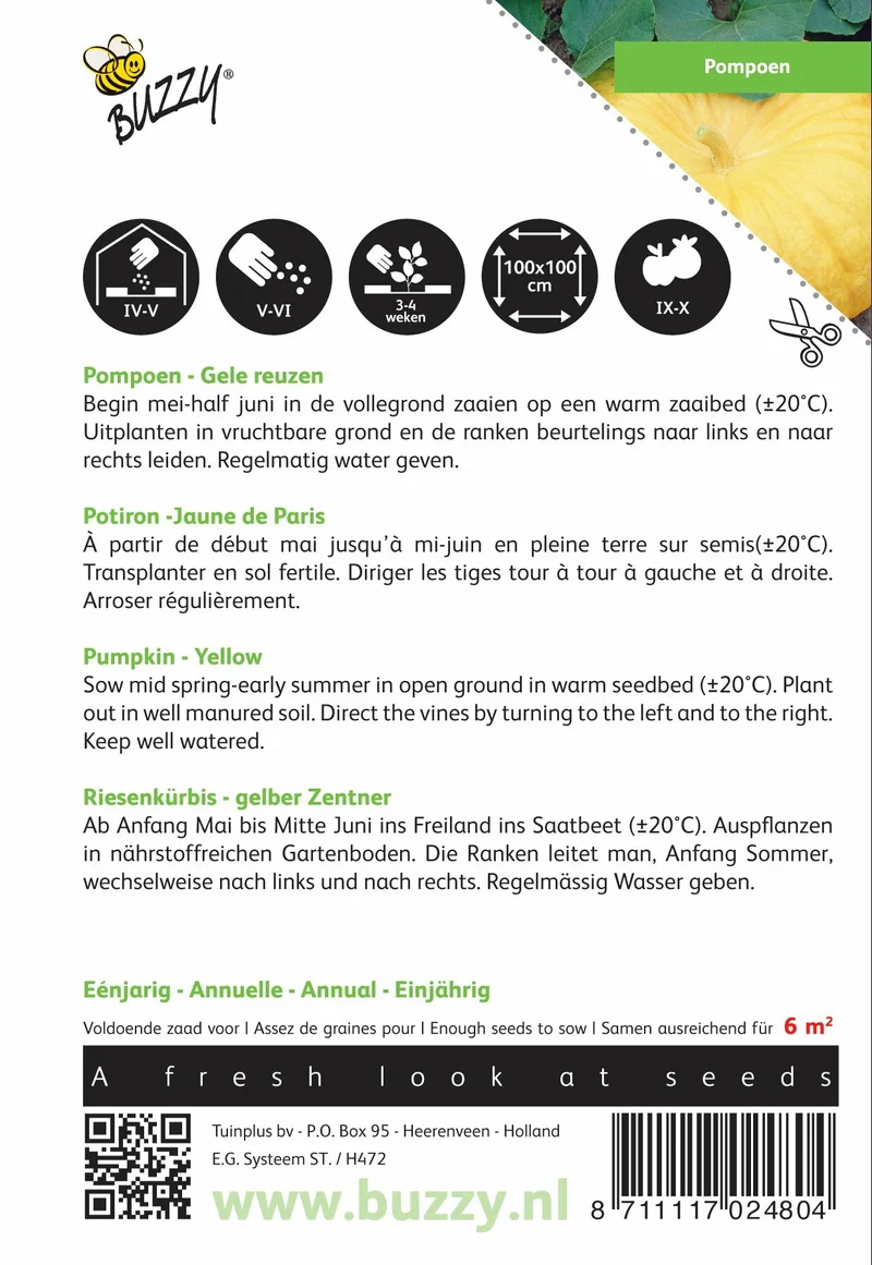 Kürbisgelbe Riesen