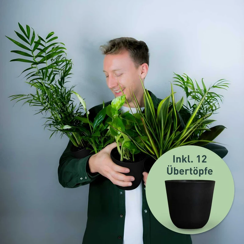 Rette mich: Zimmerpflanzen 12er Set