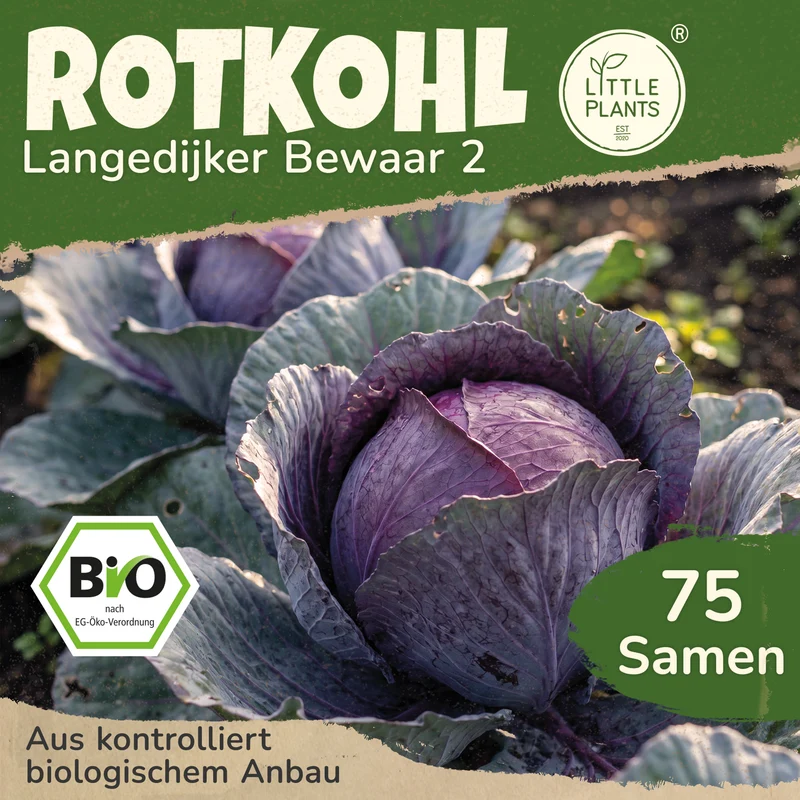 Bio-Rotkohl (Langedijker Bewaar 2)