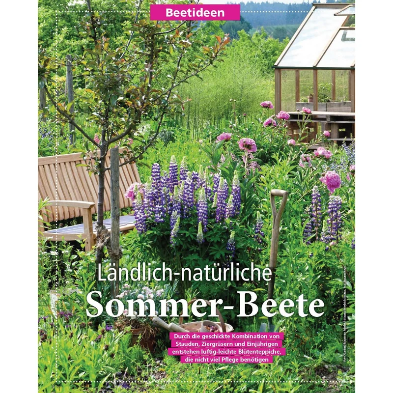 Zeitschrift Mein schöner Garten Spezial 'Beetideen' 02/26