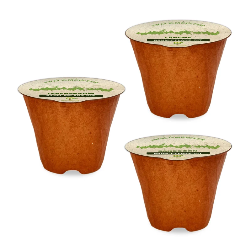 Waldmeister – 3 x Baum-Pflanz-Set (Sanddorn, Lebensbaum & Lärche)