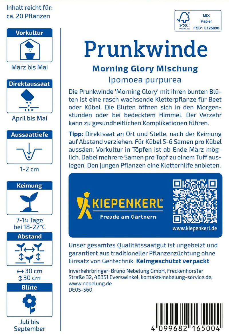 Prunkwindensamen Morning Glory Mischung
