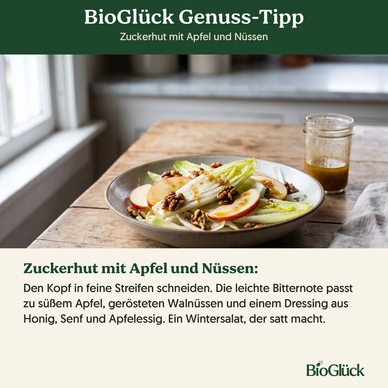 Bio-Zichoriensalat 'Zuckerhut' – Samenfestes Bio-Saatgut
