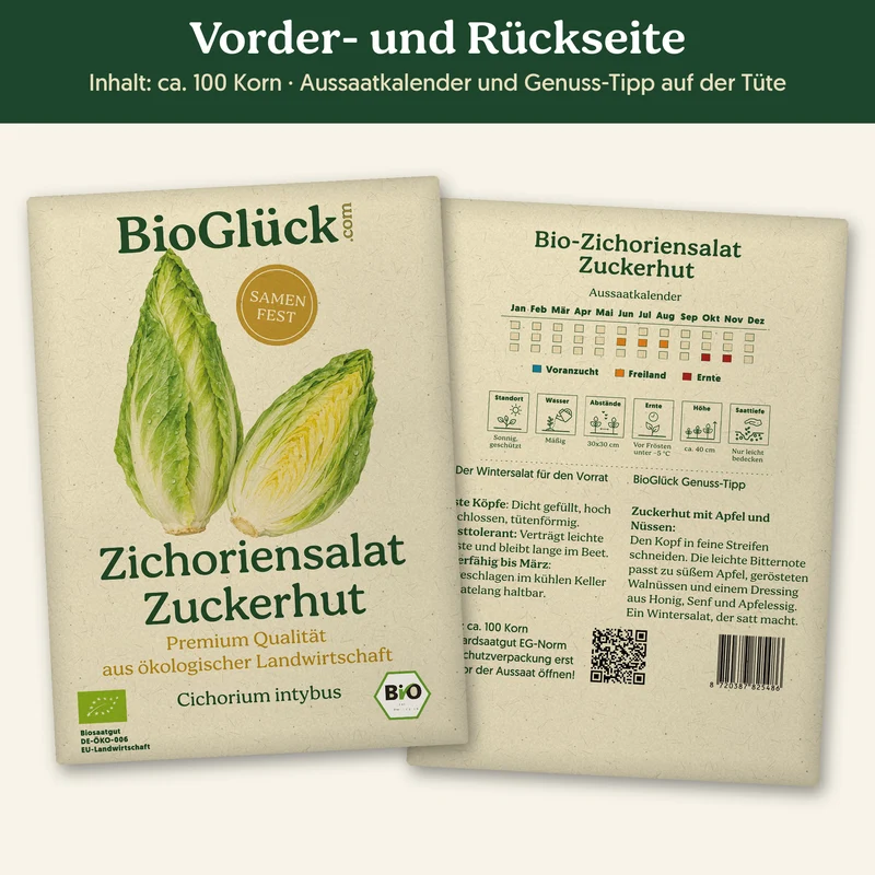 Bio-Zichoriensalat 'Zuckerhut' – Samenfestes Bio-Saatgut