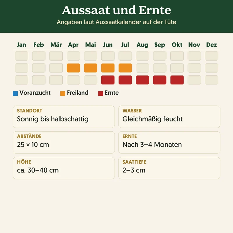Bio-Rote Rübe 'Rote Kugel' – Samenfestes Bio-Saatgut