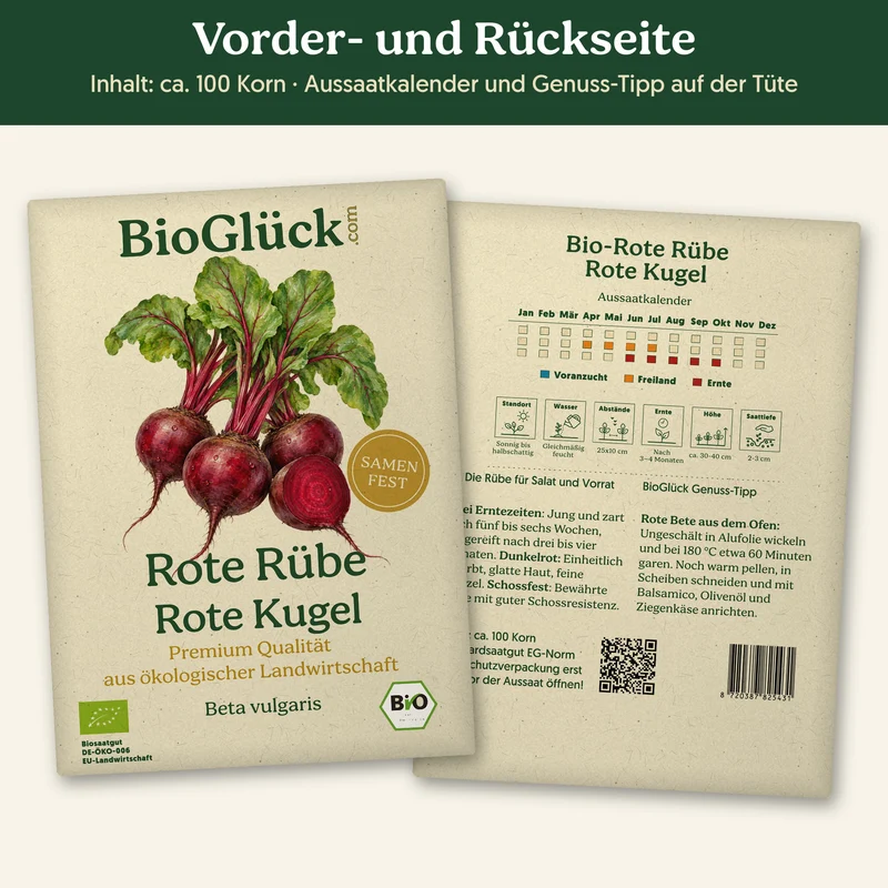Bio-Rote Rübe 'Rote Kugel' – Samenfestes Bio-Saatgut