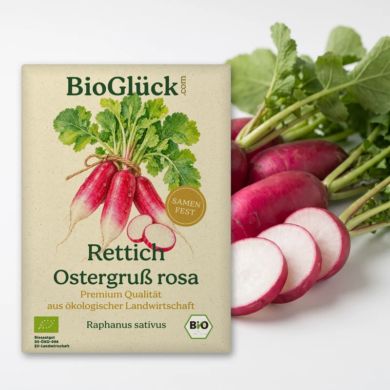 Bio-Rettich 'Ostergruß rosa' – Samenfestes Bio-Saatgut