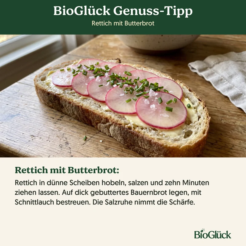 Bio-Rettich 'Ostergruß rosa' – Samenfestes Bio-Saatgut