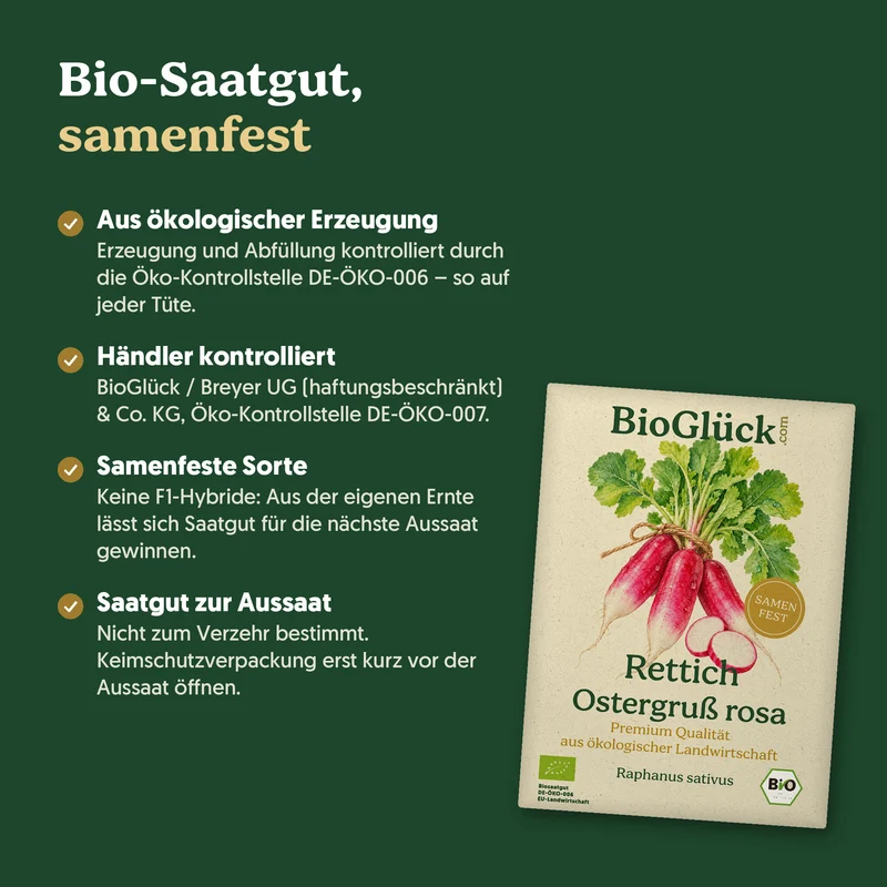 Bio-Rettich 'Ostergruß rosa' – Samenfestes Bio-Saatgut