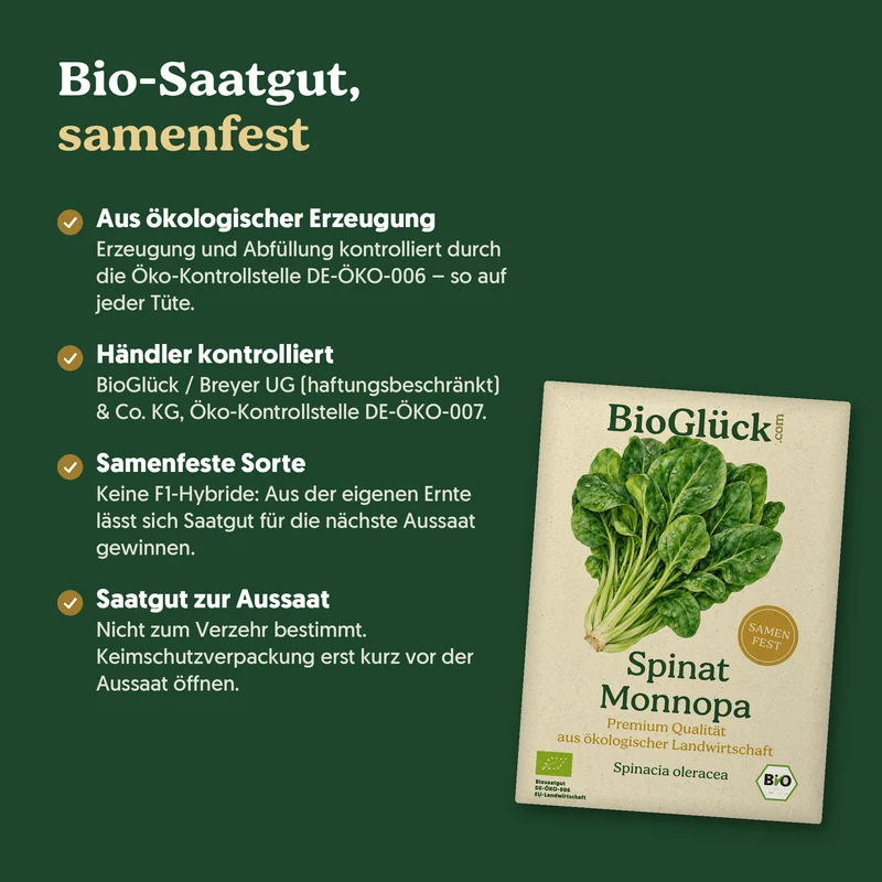 Bio-Spinat 'Monnopa' – Samenfestes Bio-Saatgut