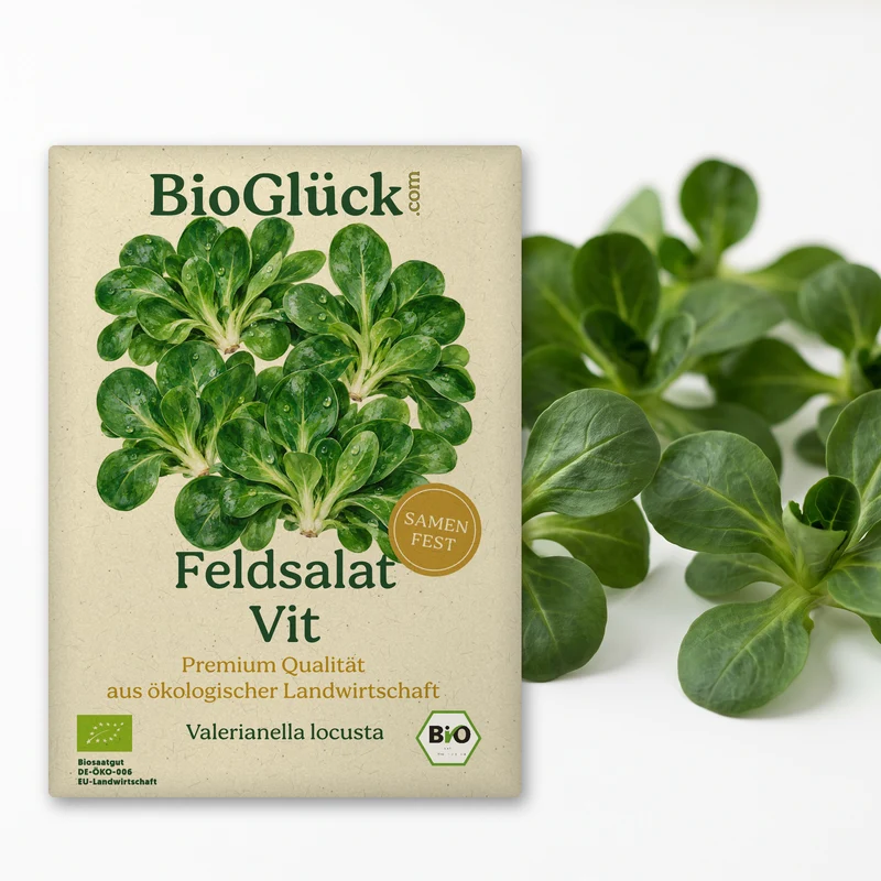 Bio-Feldsalat 'Vit' – Samenfestes Bio-Saatgut