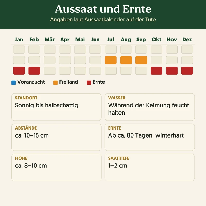 Bio-Feldsalat 'Vit' – Samenfestes Bio-Saatgut