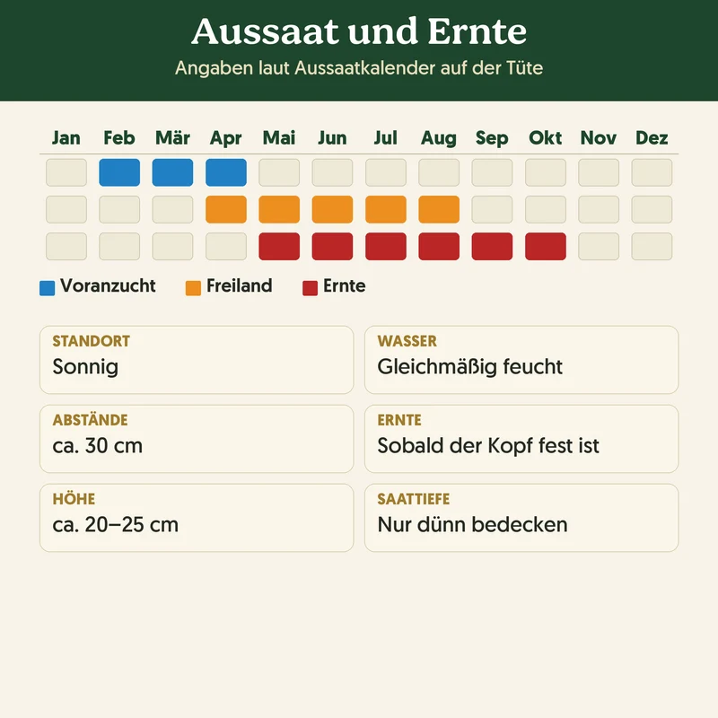 Bio-Kopfsalat 'Attraktion' – Samenfestes Bio-Saatgut