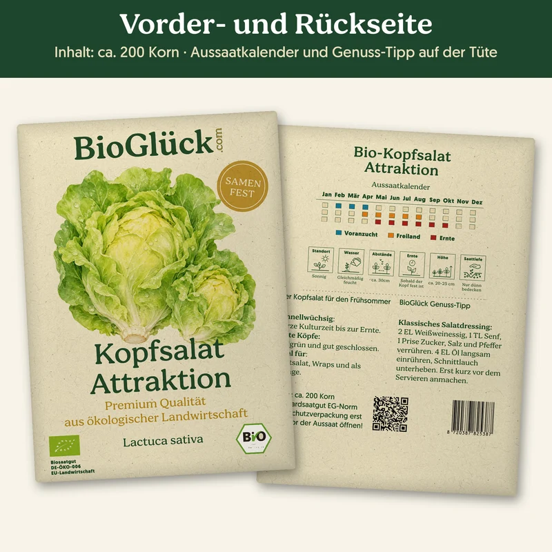 Bio-Kopfsalat 'Attraktion' – Samenfestes Bio-Saatgut