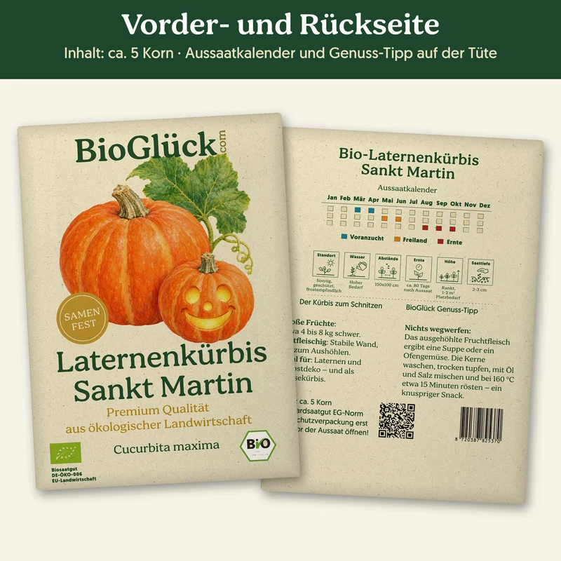 Bio-Laternenkürbis 'Sankt Martin' – Samenfestes Bio-Saatgut