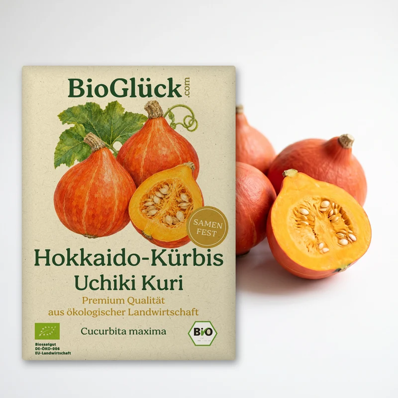 Bio-Hokkaido-Kürbis 'Uchiki Kuri' – Samenfestes Bio-Saatgut