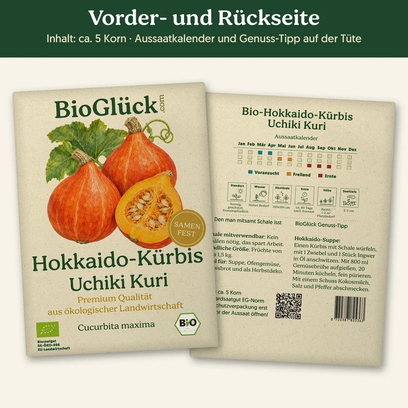 Bio-Hokkaido-Kürbis 'Uchiki Kuri' – Samenfestes Bio-Saatgut